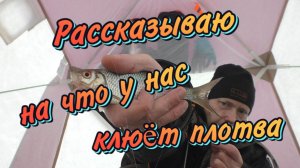 Рассказываю на что у нас клюёт плотва. Ради этой рыбы я хожу на рыбалку в ночь.
