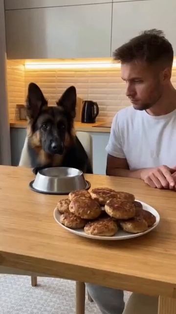 А мне котлетку