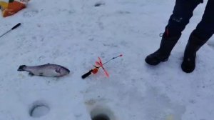 Основной водоём.Резина