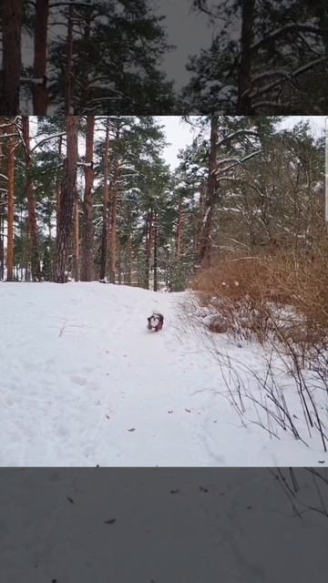 Новинка январь2026!!! смотреть онлайн