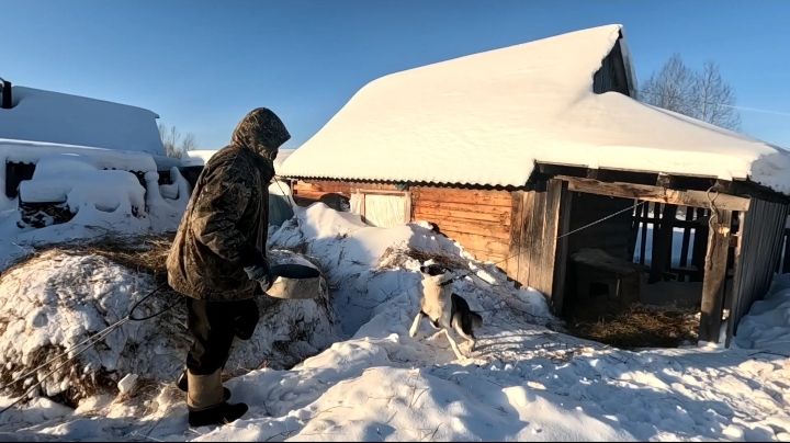 Охота продолжается. Добыл лису . О приложении в смартфоне. смотреть онлайн