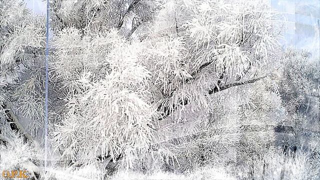 ПЕРВЫЙ СНЕГ смотреть онлайн