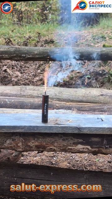 Петарды фитильные BLACK DEVIL B205 - ТМ Волк - 9гр. флеш-состав, в пачке 10 петард смотреть онлайн