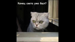 Разговоры с коллекторами 112