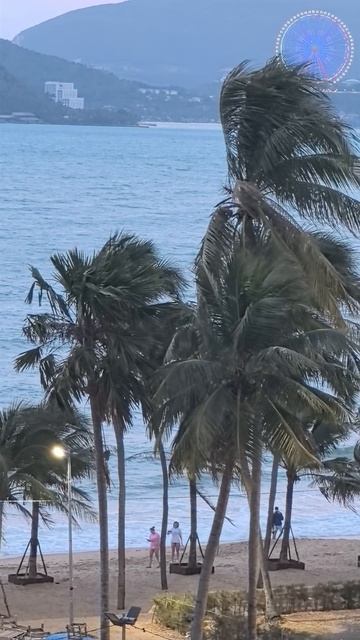 Нячанг 24 января 2026 смотреть онлайн