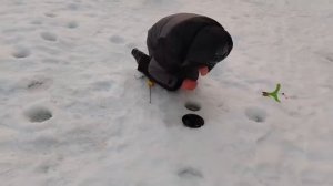 24.01.26 г. РК Волна.