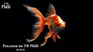 Рекламная заставка (ТВ РЫБ, 2015-2024)