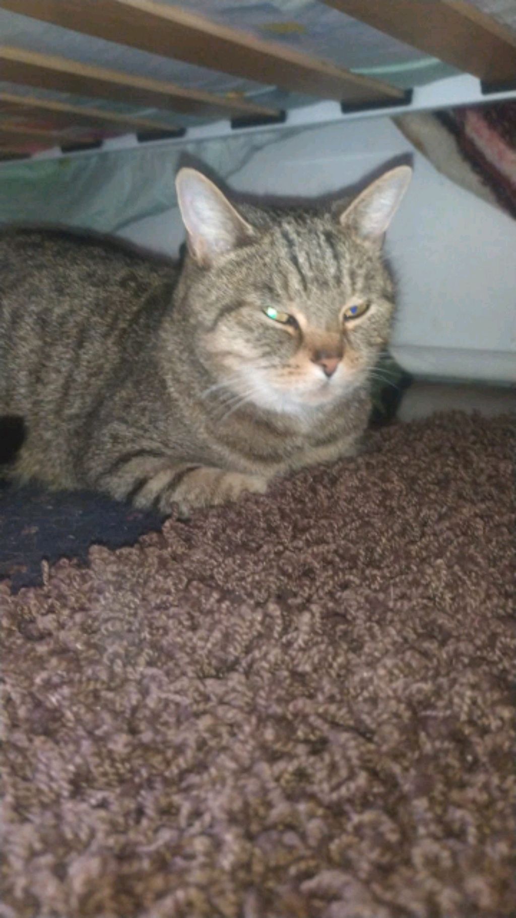 привет обращение к зрителям смотреть онлайн