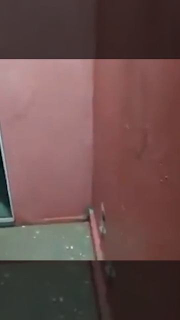 #Бразилия Охрана одной из бразильских тюрем предотвращает попытку побега заключеннных смотреть онлайн