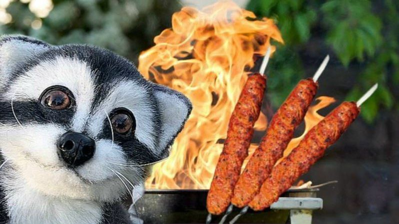 ЕДЕМ С ЕНОТОМ СЁМОЙ В ДЕРЕВНЮ ГОТОВИТЬ ЛЮЛЯ-КЕБАБ смотреть онлайн