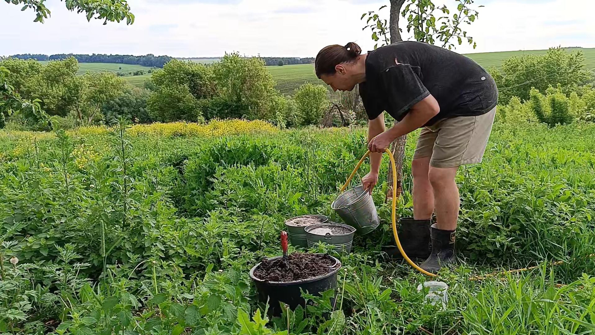 Чем удобрить фруктовые деревья в конце весны и начале лета. Куриный помет золото для сада. смотреть онлайн