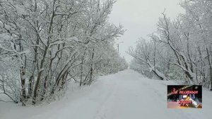Воркута. 21.01.26. Поселок Северный.