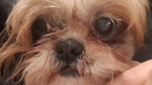 неудачный сон