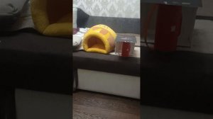 5 ночей с пронько 2 3 ночь