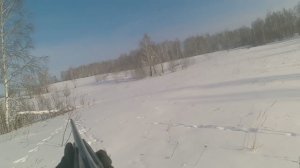 Охота на зайца Беляка