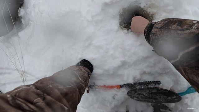 С щукой в устье Волхова в этом году, слабовато. Бели море. #рыбалка смотреть онлайн