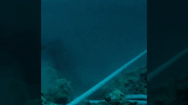 Краткий пересказ фильма смотреть онлайн