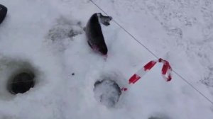 На пасту.Основной водоём