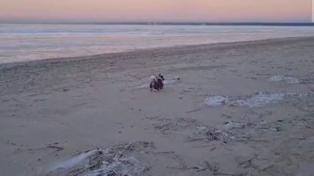 новинки смотреть онлайн