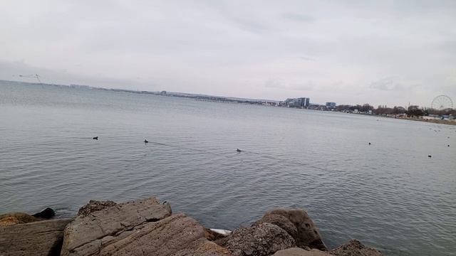 video_2026-01-24_14-55-08 смотреть онлайн