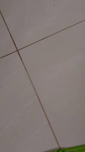 лввлоаввовововллаш3л