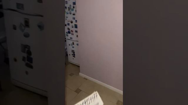 video5451698131655758795