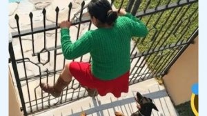 Подборка Самых Смешных Приколов