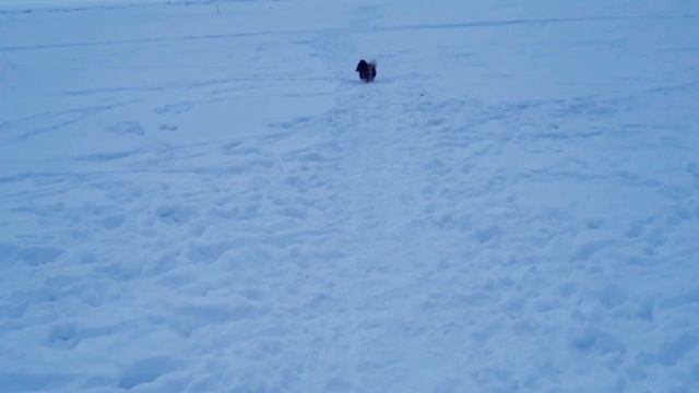 зима 2026 смотреть онлайн