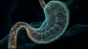 Исцеление Желудка Частотами*Успокаиваем Боль и Восстанавливаем Пищеварение