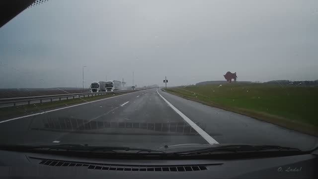 Зубр, статуя на Минке. Минск-Брест. Беларусь. смотреть онлайн