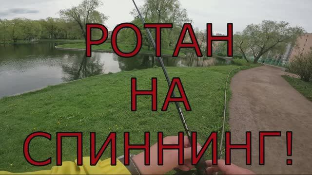 РОТАН НА СПИНИННГ🔥 #мормышинг смотреть онлайн