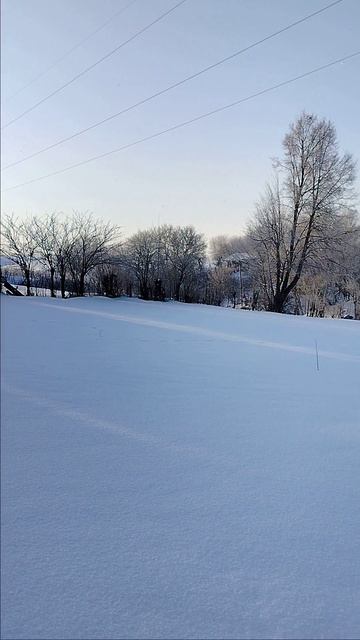 24.01.2026. Настоящая русская зима. -25, небольшой снег. Давно такой погоды небыло! смотреть онлайн