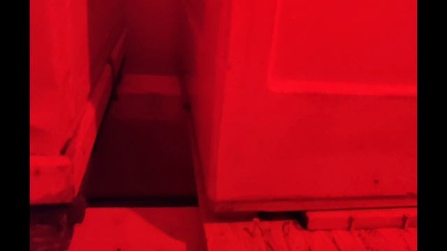 Зимовка пчел январь 2026 смотреть онлайн