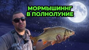Мормышинг в полнолуние: красноперки,окуни и щука. Только хардкор, ищем рыбу и на что клюёт!#рыбалка