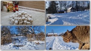 ИСПЕКЛА ПЕЧЕНЬЕ  "ТАЮЩИЙ СНЕГ" И ПОШЛИ ГУЛЯТЬ ПО СЕЛУ И ПО ОЗЕРУ.