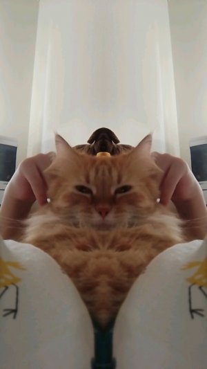 простите за звук🥺