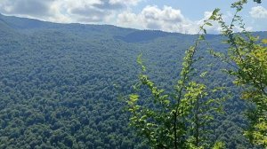 Экскурсия в долину реки Кодор и в Шакуранский каньон, Абхазия