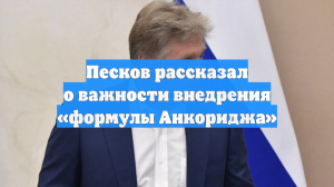 Песков рассказал о важности внедрения «формулы Анкориджа»