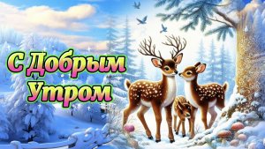 Доброе утро. Желаю вам прекрасного денечка.