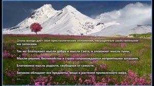 Мир запахов