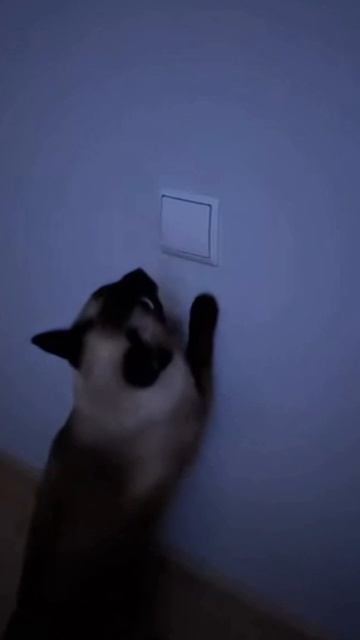 Когда лень вставать