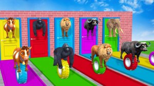 Long Slide Game With Cow Elephant Gorilla Hippopotamus Tiger - 3d Animal Game - Funny 3d Animals-17