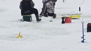 VID_20260124_102822_752