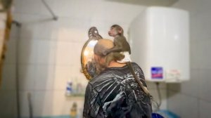 Пока Влад с Люсей БРЕЮТСЯ, Ангелине приходится убирать шкоду за обезьянкой)