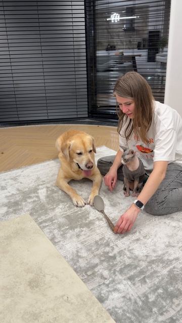 Получилось повторить?