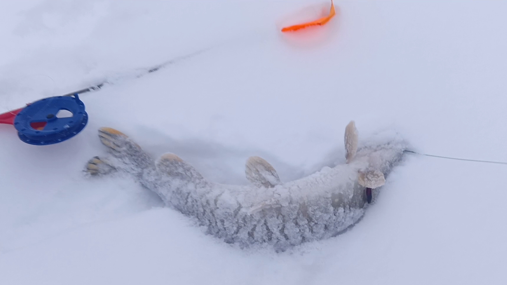 Жерлицы.Рыбалка на пруду. смотреть онлайн