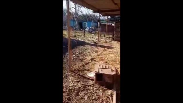 11111245 смотреть онлайн