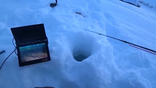 КАК ПОЙМАТЬ ГОРУ РЫБЫ В ГЛУХОЗИМЬЕ？!! Я В ШОКЕ! ПРИМАНКА смотреть онлайн