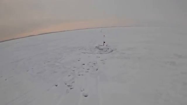 ЛУЧШАЯ ЗИМНЯЯ РЫБАЛКА В ЖИЗНИ смотреть онлайн