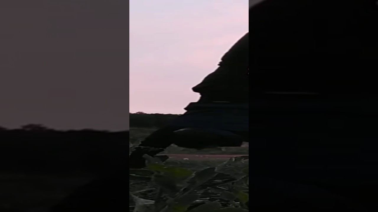 Handstand walking смотреть онлайн